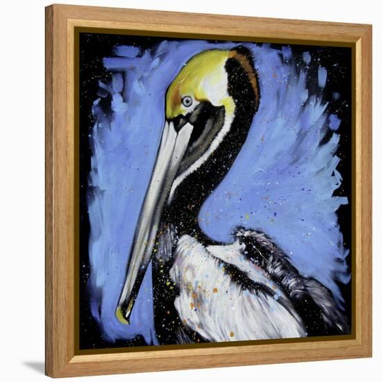 Brown Pelican-null-Framed Stretched Canvas