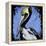 Brown Pelican-null-Framed Stretched Canvas