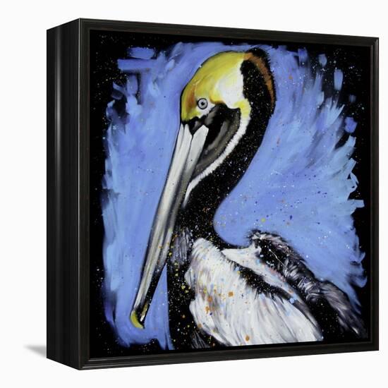 Brown Pelican-null-Framed Stretched Canvas