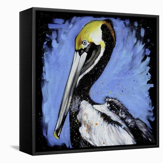 Brown Pelican-null-Framed Stretched Canvas