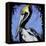 Brown Pelican-null-Framed Stretched Canvas