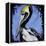 Brown Pelican-null-Framed Stretched Canvas