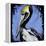 Brown Pelican-null-Framed Stretched Canvas