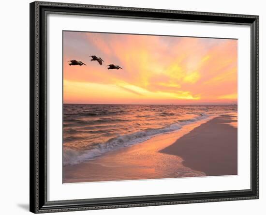 Brown Pelicans Flying in Formation at Sunset on Florida Beach-Steve Bower-Framed Photographic Print