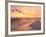 Brown Pelicans Flying in Formation at Sunset on Florida Beach-Steve Bower-Framed Photographic Print