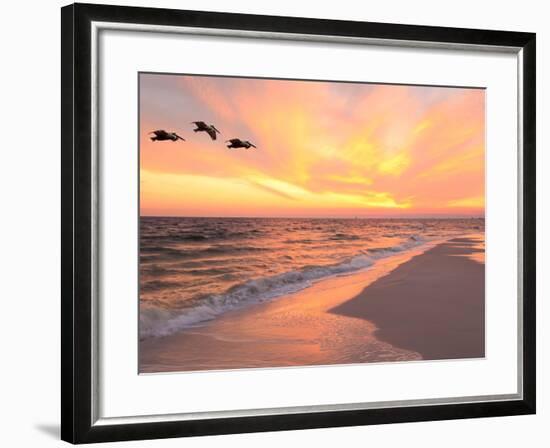 Brown Pelicans Flying in Formation at Sunset on Florida Beach-Steve Bower-Framed Photographic Print