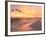 Brown Pelicans Flying in Formation at Sunset on Florida Beach-Steve Bower-Framed Photographic Print