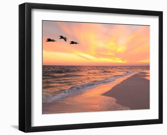 Brown Pelicans Flying in Formation at Sunset on Florida Beach-Steve Bower-Framed Photographic Print