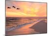 Brown Pelicans Flying in Formation at Sunset on Florida Beach-Steve Bower-Mounted Photographic Print