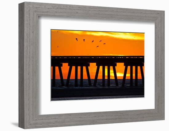 Brown Pelicans gliding over bridge at San Luis Pass, Galveston Island.-Larry Ditto-Framed Photographic Print