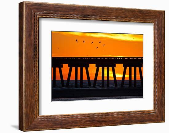 Brown Pelicans gliding over bridge at San Luis Pass, Galveston Island.-Larry Ditto-Framed Photographic Print