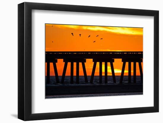 Brown Pelicans gliding over bridge at San Luis Pass, Galveston Island.-Larry Ditto-Framed Photographic Print