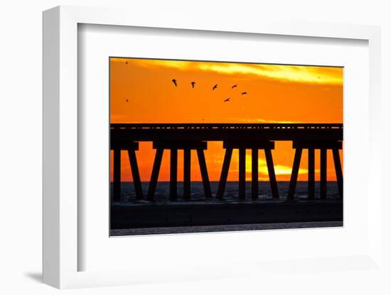 Brown Pelicans gliding over bridge at San Luis Pass, Galveston Island.-Larry Ditto-Framed Photographic Print