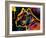 Brown Pit bull Brown Eyes Look 1-Mark Ashkenazi-Framed Giclee Print