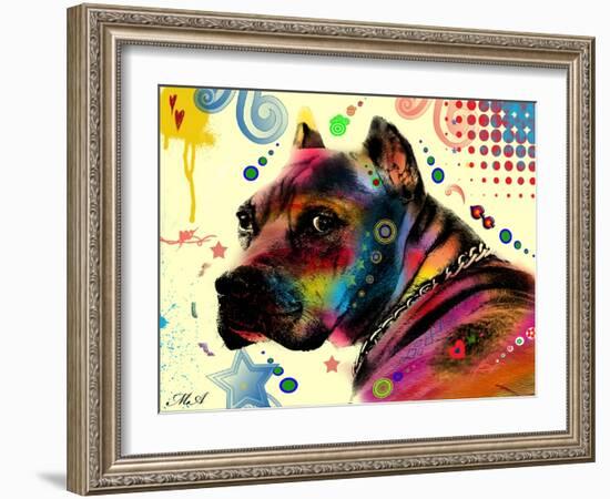 Brown Pitbull Brown Eyes Look 2-Mark Ashkenazi-Framed Giclee Print