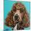 Brown Poodle-Carolee Vitaletti-Mounted Art Print