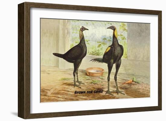 Brown Red Game-Lawson Wood-Framed Art Print