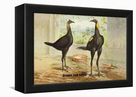 Brown Red Game-Lawson Wood-Framed Stretched Canvas