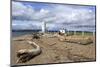 Brown's Point Lighthouse, Tacoma, Washington State, United States of America, North America-Richard Cummins-Mounted Photographic Print