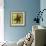 Brown Starfish-John W Golden-Framed Giclee Print displayed on a wall