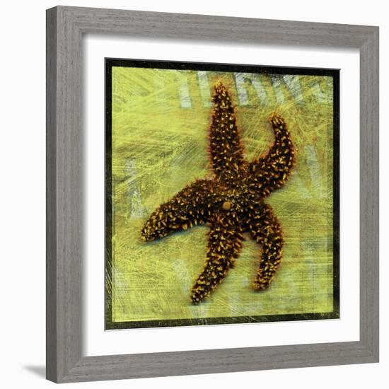 Brown Starfish-John W Golden-Framed Giclee Print