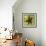 Brown Starfish-John W Golden-Framed Giclee Print displayed on a wall