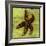 Brown Starfish-John W Golden-Framed Giclee Print