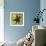 Brown Starfish-John W Golden-Framed Giclee Print displayed on a wall