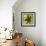 Brown Starfish-John W Golden-Framed Giclee Print displayed on a wall