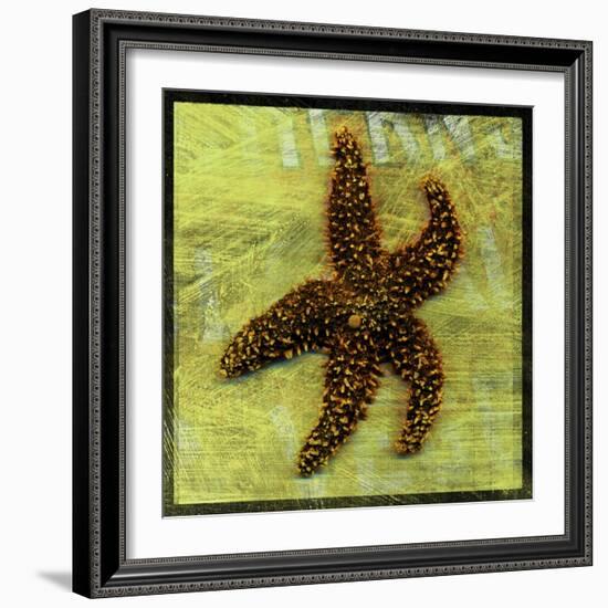 Brown Starfish-John W Golden-Framed Giclee Print