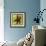 Brown Starfish-John W Golden-Framed Giclee Print displayed on a wall