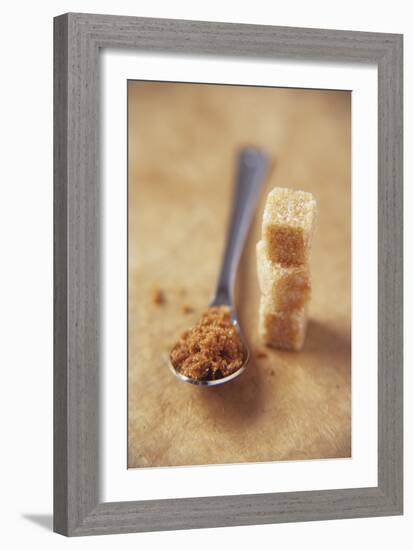 Brown Sugar-Veronique Leplat-Framed Photographic Print