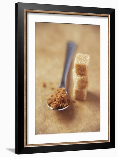 Brown Sugar-Veronique Leplat-Framed Photographic Print