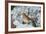 Brown Thrasher-Gary Carter-Framed Photographic Print