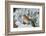 Brown Thrasher-Gary Carter-Framed Photographic Print