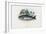 Brown Trout, 1863-79-Raimundo Petraroja-Framed Giclee Print