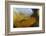 Brown Trout (Salmo Trutta) in Turbulent Water at a Weir, River Ettick, Selkirkshire, Scotland, UK-Linda Pitkin-Framed Photographic Print