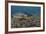 Brown Trout (Salmo Trutta) Jackdaw Quarry, Capernwray, Carnforth, Lancashire, UK, August-Linda Pitkin-Framed Photographic Print