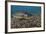 Brown Trout (Salmo Trutta) Jackdaw Quarry, Capernwray, Carnforth, Lancashire, UK, August-Linda Pitkin-Framed Photographic Print