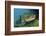 Brown Trout (Salmo Trutta) Jackdaw Quarry, Capernwray, Carnforth, Lancashire, UK, August-Linda Pitkin-Framed Photographic Print