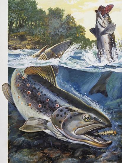 Giclee Print, , large