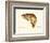 Brown Trout-Teri Renee Blehm-Framed Art Print