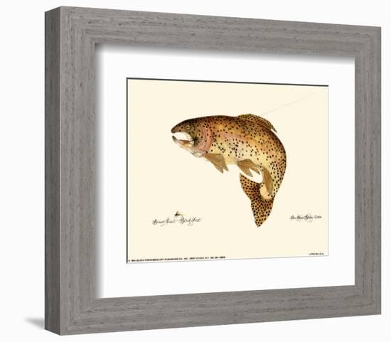 Brown Trout-Teri Renee Blehm-Framed Art Print