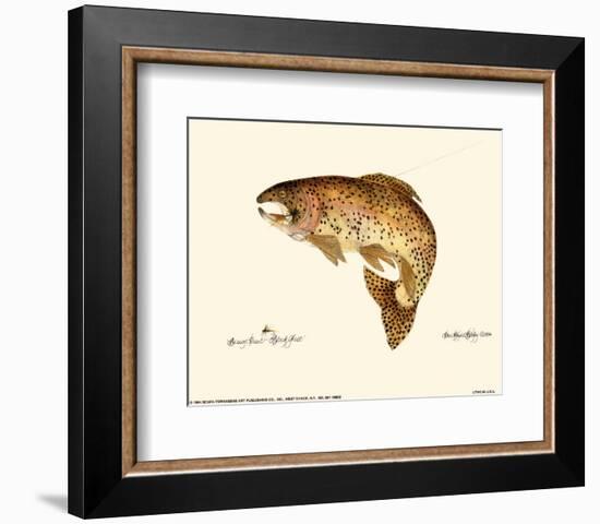 Brown Trout-Teri Renee Blehm-Framed Art Print