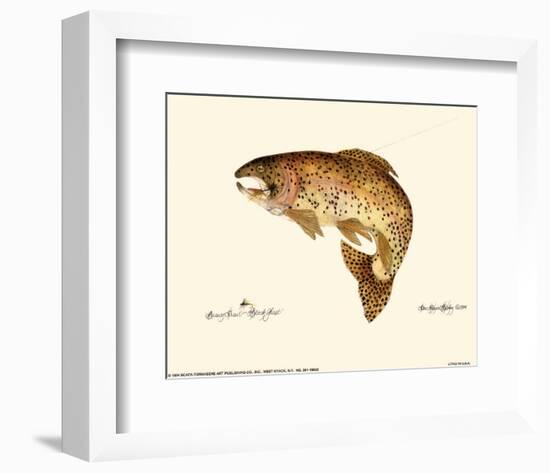 Brown Trout-Teri Renee Blehm-Framed Art Print