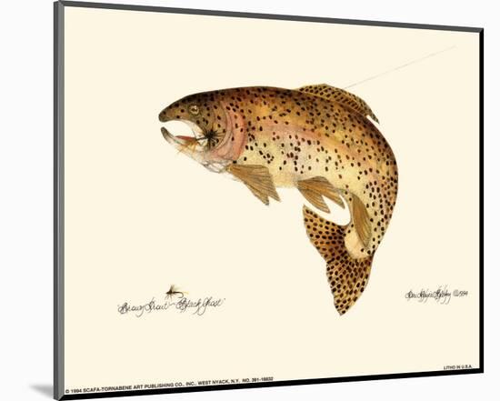 Brown Trout-Teri Renee Blehm-Mounted Art Print