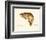 Brown Trout-Teri Renee Blehm-Framed Art Print