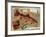 Brown Trout-Kate Ward Thacker-Framed Giclee Print