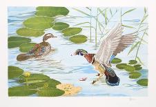 Two Ducks-Brown-Collectable Print