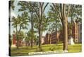Stretched Canvas Print